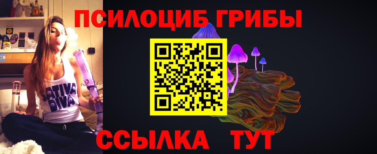 Алейск  Галлюциногенные грибы мухоморы  купить наркотик  Псилоцибиновые грибы Cubensis  Вход с VPN 